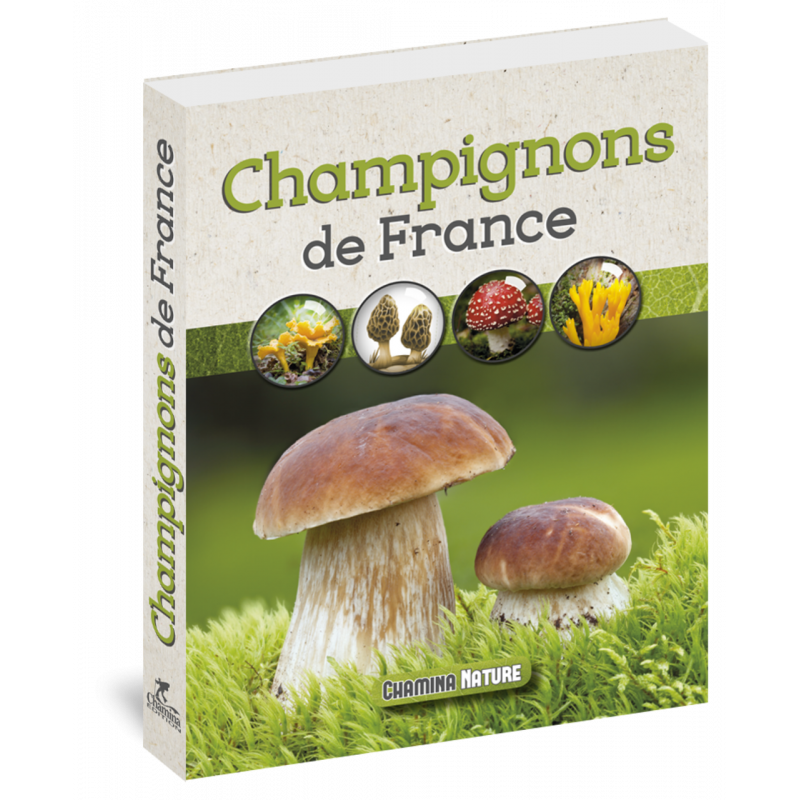 LIVRE CHAMPIGNONS DE FRANCE