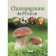 CHAMPIGNONS DE FRANCE
