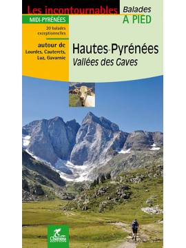 HAUTES PYRENEES VALLEES DES GAVES