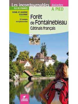 FORET DE FONTAINEBLEAU GATINAIS FRANCAIS